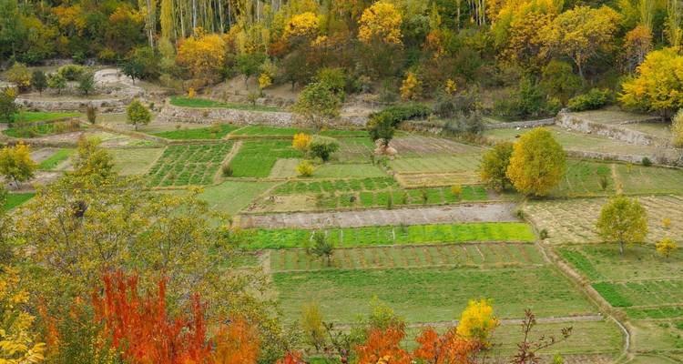 Explore Hunza Valley - Gypsy Traces and Tours 4