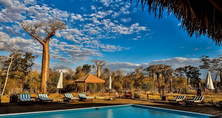 Safari au Baobab - Travelia Safari 4