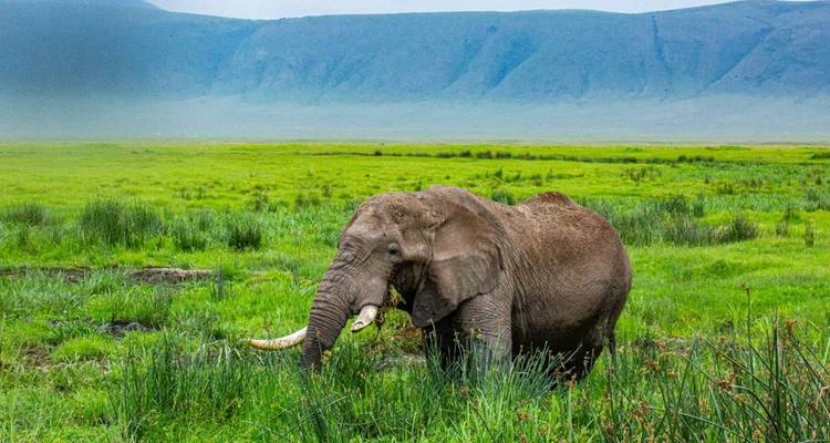 Safari cultural de 6 días en Tanzania - Zara Tours (Zara Tanzania Adventures) 1