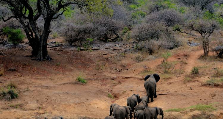 El mejor safari de 6 días por el Serengeti desde Arusha a un precio razonable. - Africa Natural Tours 4