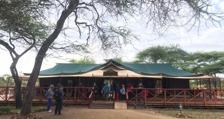 Safari de 3 días a Tarangire, Ngorongoro y Manyara - Oferta especial - Eatl Tour and Safari Group  6