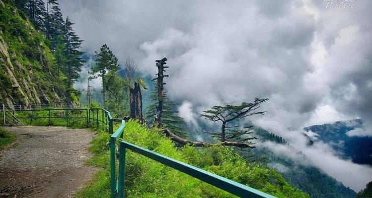 Explora Islamabad, Murree y Nathiagali - Gypsy Traces and Tours 2