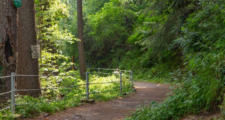 Explora Islamabad, Murree y Nathiagali - Gypsy Traces and Tours 10