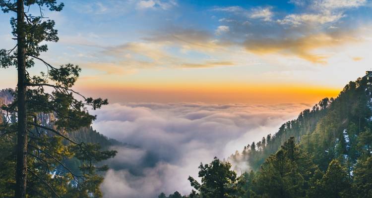 Explora Islamabad, Murree y Nathiagali - Gypsy Traces and Tours 1
