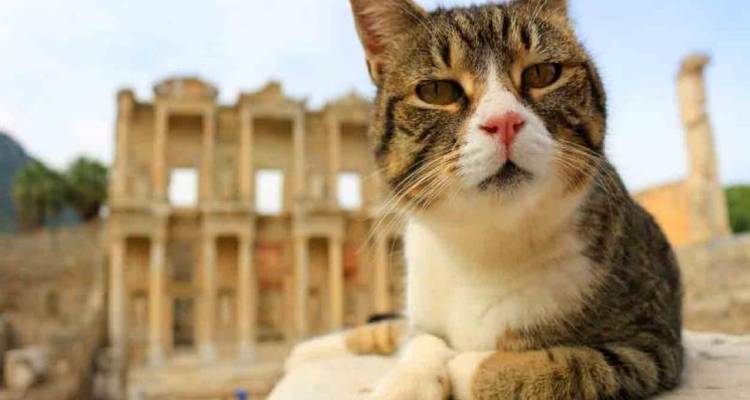 Colors of Turkey Tour - 6 DAYS - Turkey Tours Company 2