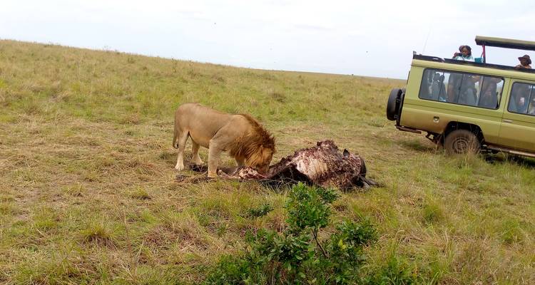 3 jours et 2 nuits dans le parc national du lac Nakuru - MAJESTIC QUEST TOURS AND TRAVEL 1