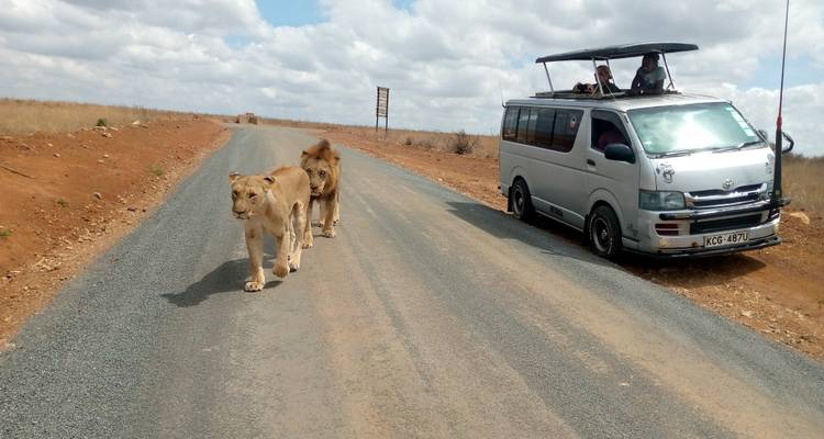 3 jours et 2 nuits dans le parc national du lac Nakuru - MAJESTIC QUEST TOURS AND TRAVEL 8