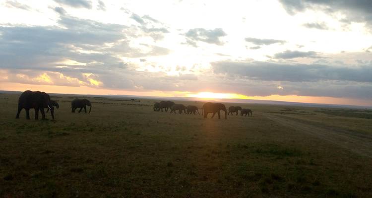 3 Days 2 Nights Amboseli Safari Tour - MAJESTIC QUEST TOURS AND TRAVEL 2