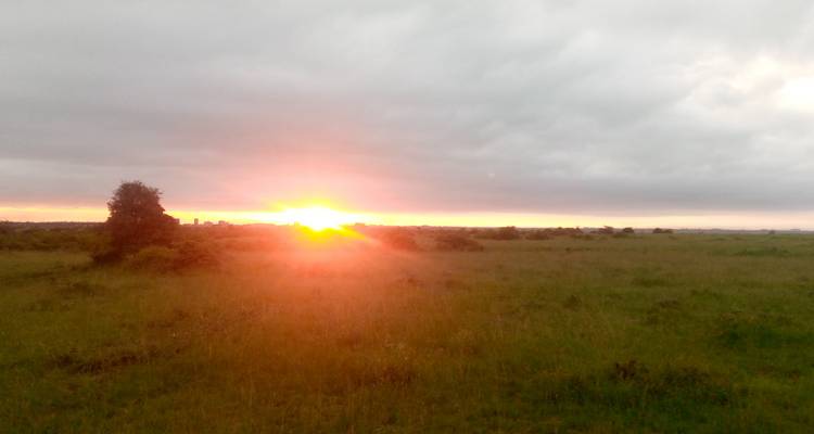 3 Days 2 Nights Amboseli Safari Tour - MAJESTIC QUEST TOURS AND TRAVEL 3