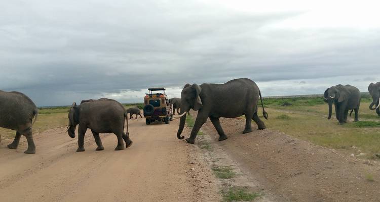 3 Days 2 Nights Amboseli Safari Tour - MAJESTIC QUEST TOURS AND TRAVEL 4