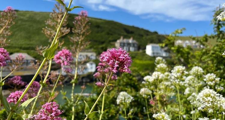 Circuito por Cornualles con salida en Londres - Daceys Cornish tours 2