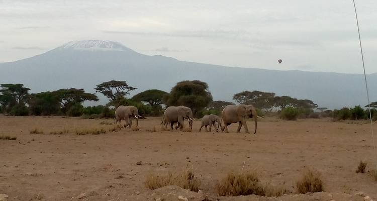 Safari de 3 días y 2 noches por Amboseli con visita al centro de las jirafas - MAJESTIC QUEST TOURS AND TRAVEL 1