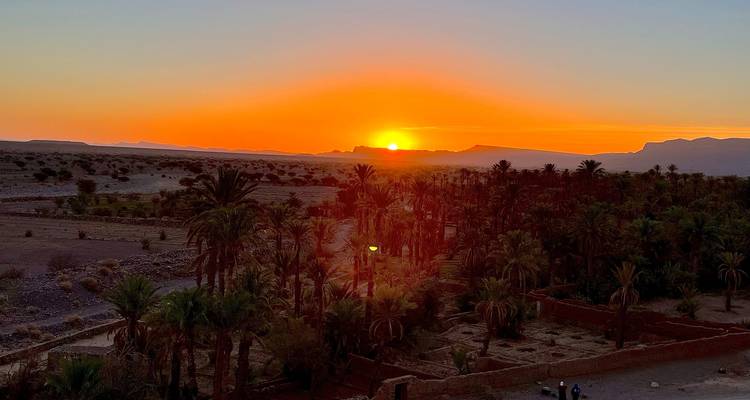 Atardecer sobre palmeras en un paisaje desértico.