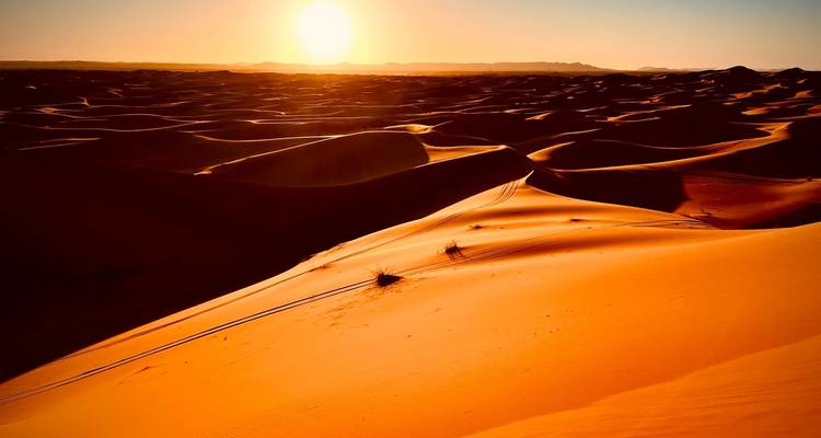 Goldene Sanddünen bei Sonnenuntergang in der Wüste.