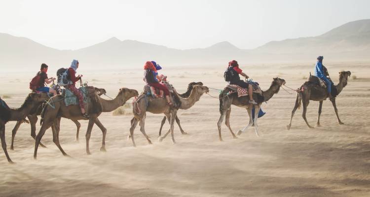 3 jours de visite du désert de Marrakech via Merzouga - Fez Cultural Tours 4