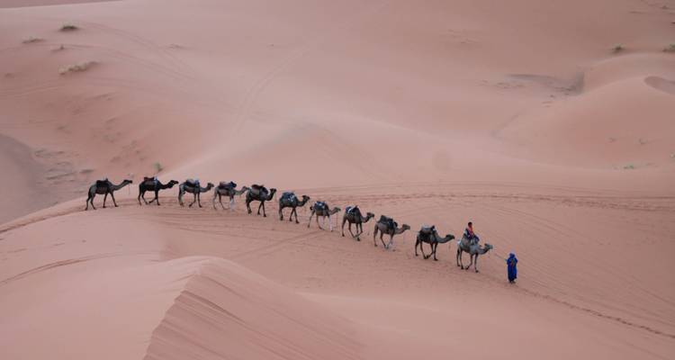 Excursion de 3 jours dans le désert au départ de Fès - Fez Cultural Tours 1