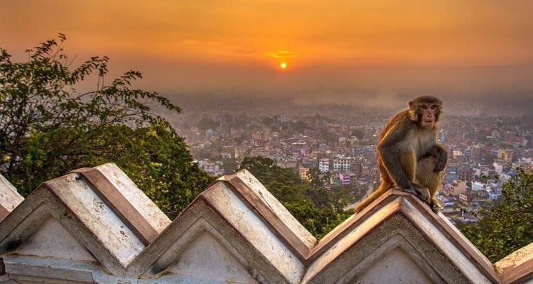 Lo más destacado de Nepal -13 días - Asian Heritage Treks & Expeditions 9