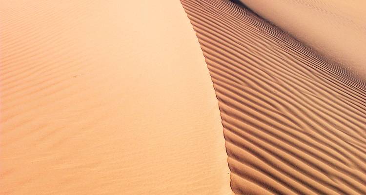 De Gobi à la Toundra : circuit de 22 jours - Tengri Tours 8