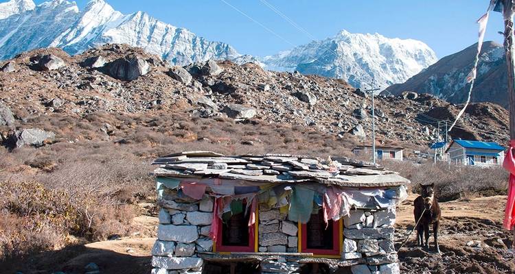 Langtang Valley Trek - Asian Heritage Treks & Expeditions 8