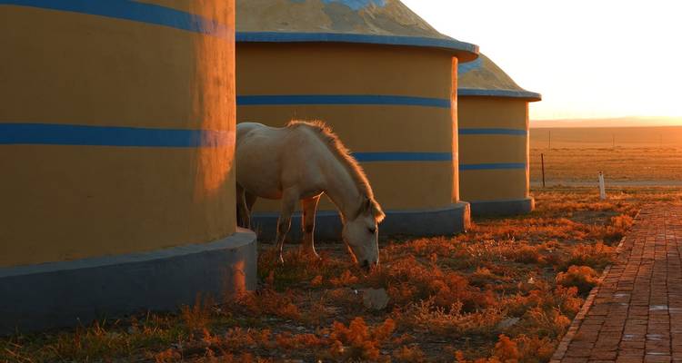 Horse Riding in 8 Lakes Explore Nature - Tengri Tours 2