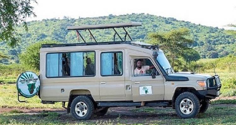 Véhicule de safari avec un conducteur dans une zone herbeuse, prêt pour l'observation de la faune.