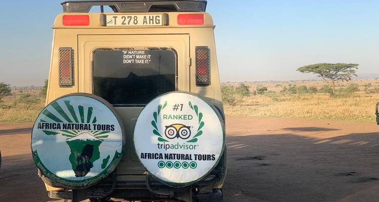 Achterkant van een safariwagen met logo's en borden.