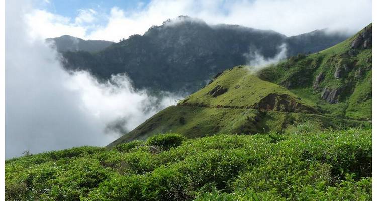 Aventura en familia, Sri Lanka a tu ritmo y estilo - circuito privado - Sri Lanka Trekking 7