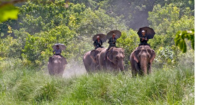 Circuito por la vida salvaje de Nepal - Parque Nacional de Bardiya - Asian Heritage Treks & Expeditions 2