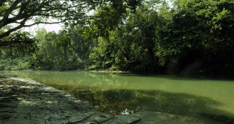 Circuito por la vida salvaje de Nepal - Parque Nacional de Bardiya - Asian Heritage Treks & Expeditions 5