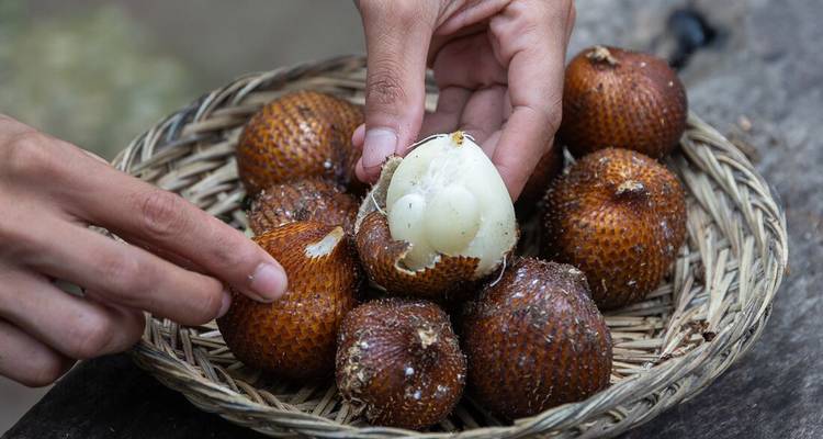 Des mains présentent un panier tressé de fruits salak pelés et non pelés sur une table en bois.