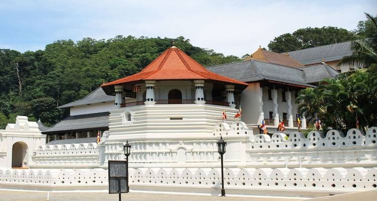 EXPLORE THE KINGDOM OF HILL CAPITAL - Lets See Asia Pvt Ltd. 4