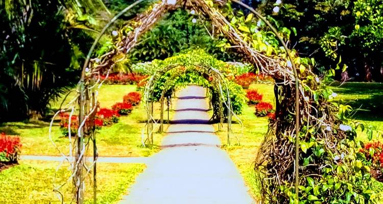 EXPLORE THE KINGDOM OF HILL CAPITAL - Lets See Asia Pvt Ltd. 8