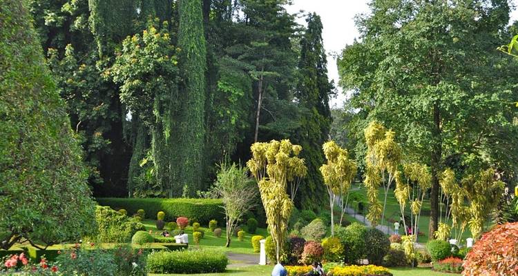 EXPLORE THE KINGDOM OF HILL CAPITAL - Lets See Asia Pvt Ltd. 9