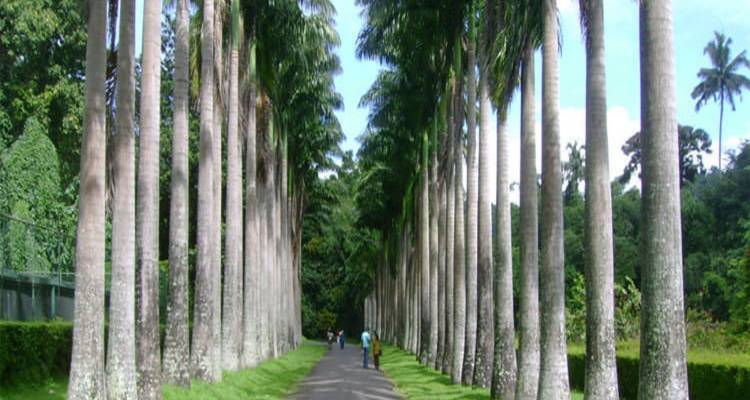 EXPLORE THE KINGDOM OF HILL CAPITAL - Lets See Asia Pvt Ltd. 10