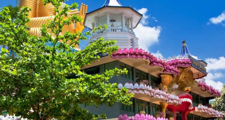 Explora los mejores destinos de Sri Lanka en 8 días - Apple Vacations Pvt Ltd 5