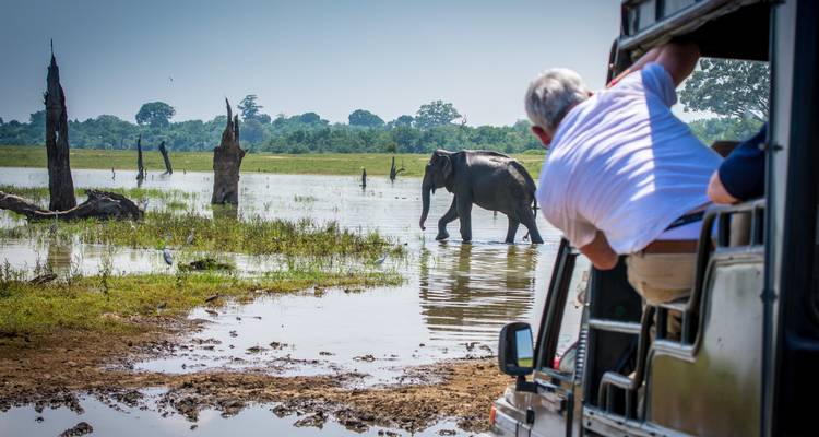 Explora los mejores destinos de Sri Lanka en 8 días - Apple Vacations Pvt Ltd 6
