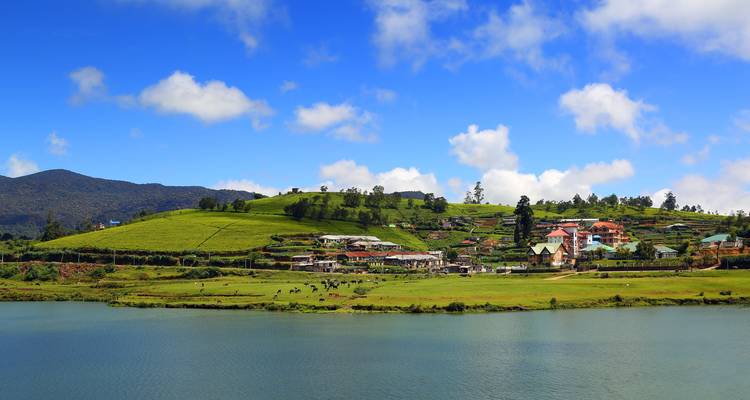 Explora los mejores destinos de Sri Lanka en 8 días - Apple Vacations Pvt Ltd 7