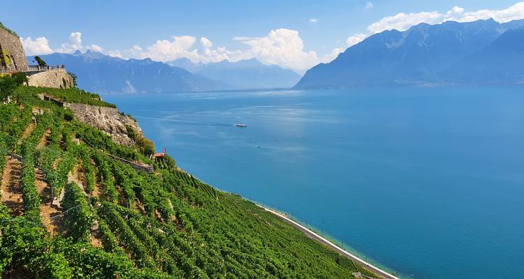 Suisse Tout-en-un - OpenUp Swiss Travel Experience 1