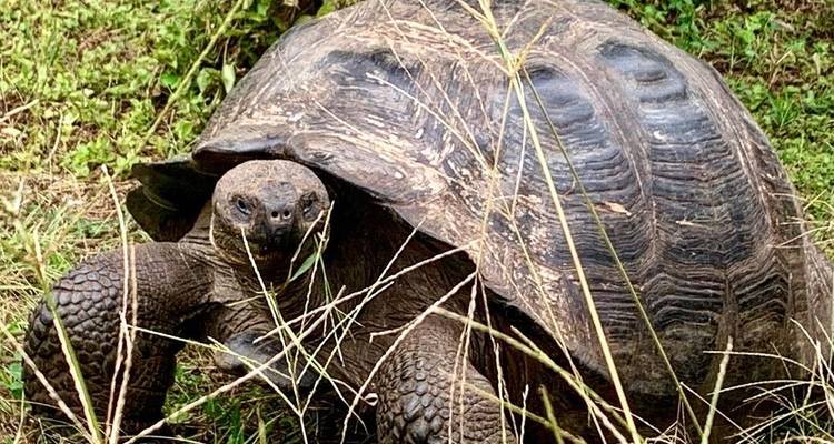 Visita rápida de 3 días a Galápagos - PERFECT DESTINY 3