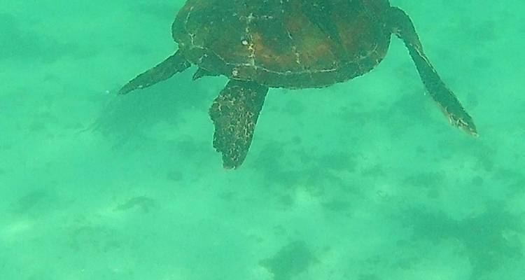 Visita rápida de 3 días a Galápagos - PERFECT DESTINY 8