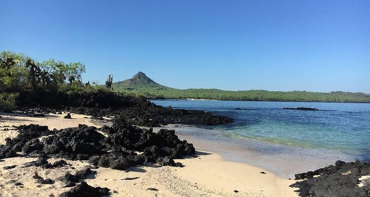 Visita rápida de 3 días a Galápagos - PERFECT DESTINY 9
