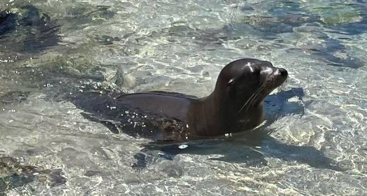 Visita rápida de 3 días a Galápagos - PERFECT DESTINY 2