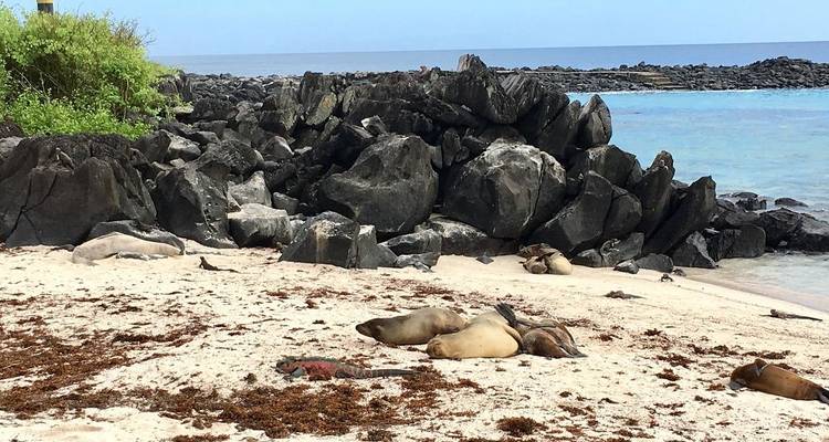 4 días Galápagos Extreme - PERFECT DESTINY 1
