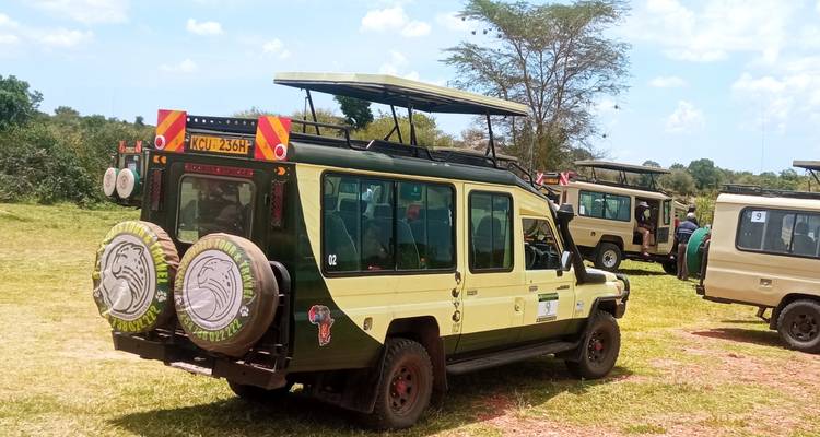 Safari con vistas al Monte Kilimanjaro y a las llanuras de Masai Mara - Ecovibe Millennials Safaris  1