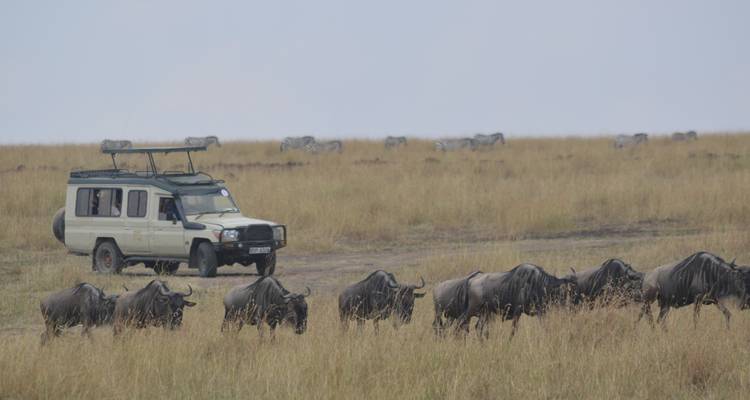 Safari con vistas al Monte Kilimanjaro y a las llanuras de Masai Mara - Ecovibe Millennials Safaris  3