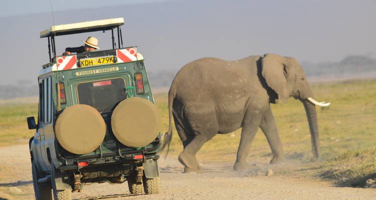 Safari con vistas al Monte Kilimanjaro y a las llanuras de Masai Mara - Ecovibe Millennials Safaris  6