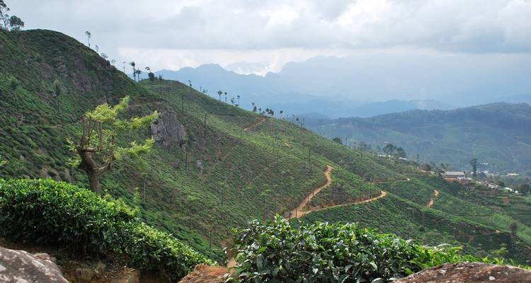 Best of Trekking (Private Tour) - Sri Lanka Trekking 1