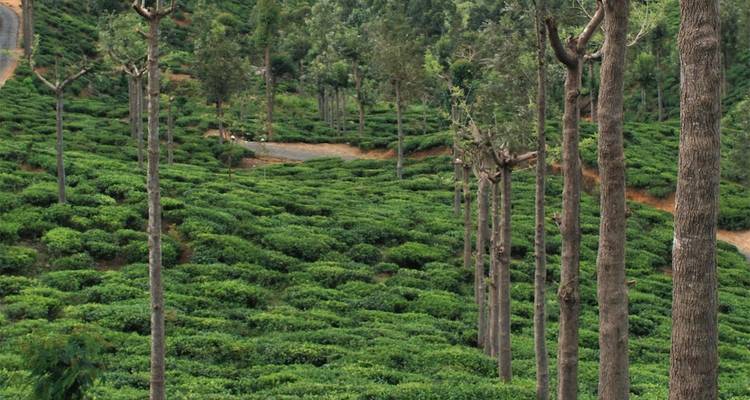 Best of Trekking (Private Tour) - Sri Lanka Trekking 2