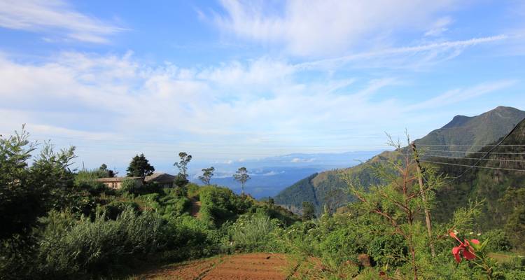 Best of Trekking (Private Tour) - Sri Lanka Trekking 7