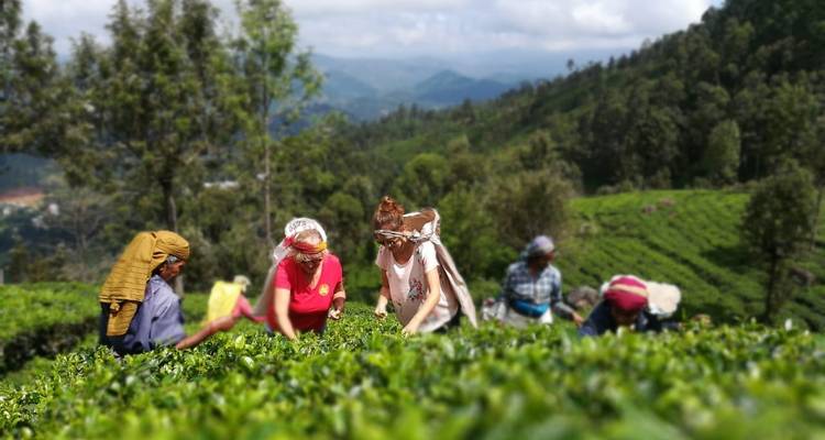 Best of Trekking (Private Tour) - Sri Lanka Trekking 9
